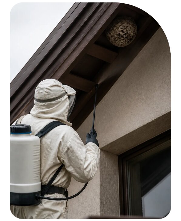 Обработка крыши от ос в Ростове по цене от 5132 р. | Сенат-Рсв